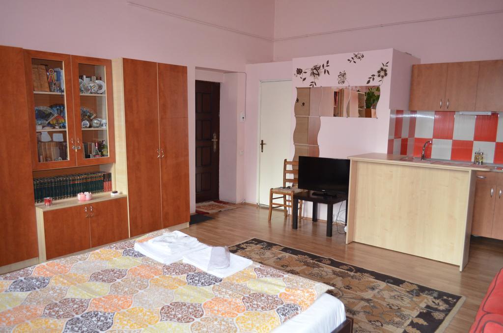 Cosy Studio Apartment Cluj-Napoca Exterior photo